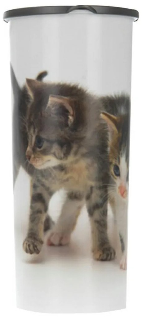 Úložný box Kitten, 25,5x12x25,5 cm, biela