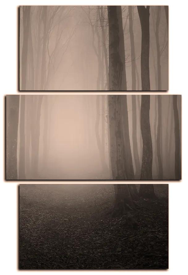 Obraz na plátne - Hmla v lese - obdĺžnik 7182FC (105x70 cm)