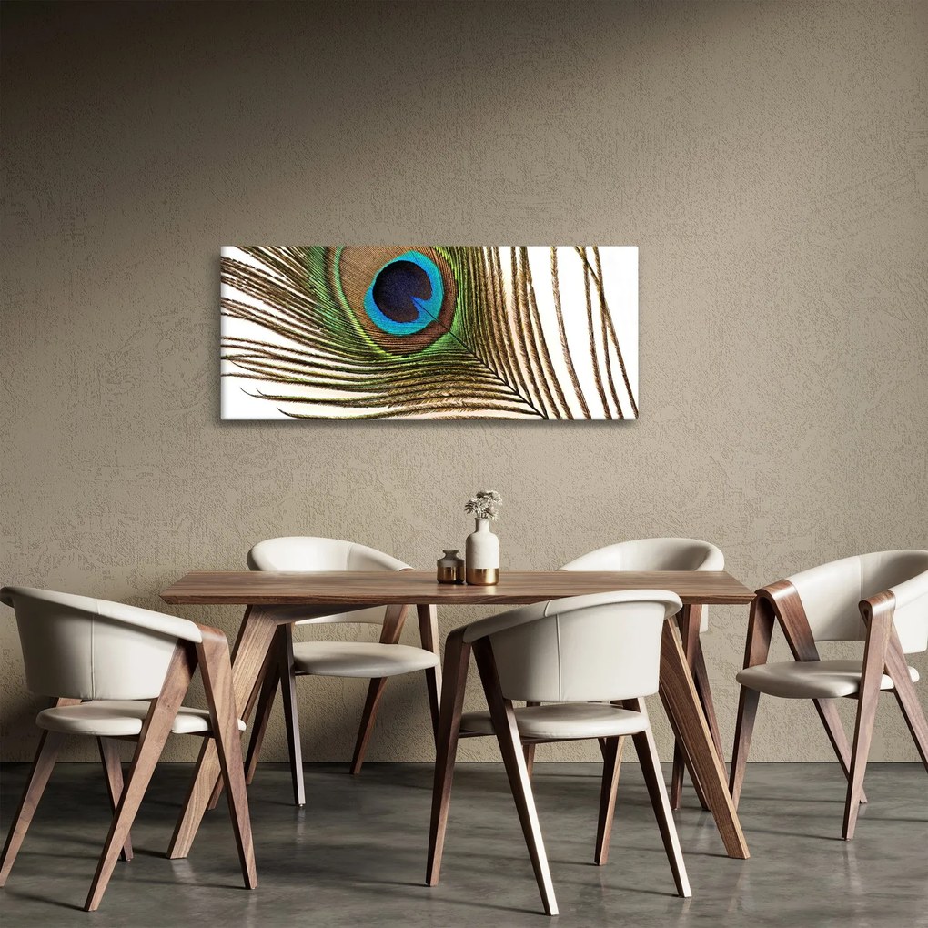 Obraz pávieho peria (120x50 cm)