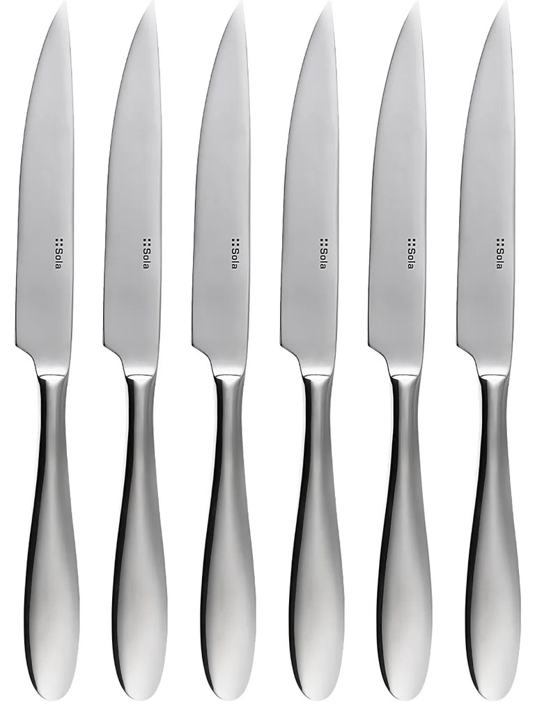 Steakové nože v magnetickom boxe set 6 ks – Turin - 133457