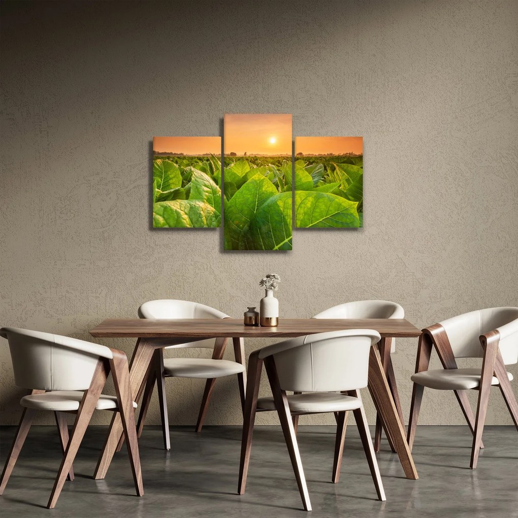 Obraz - Pole (90x60 cm)