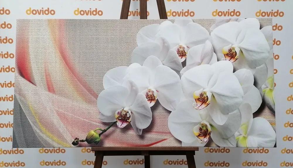 Obraz biela orchidea na plátne - 120x60