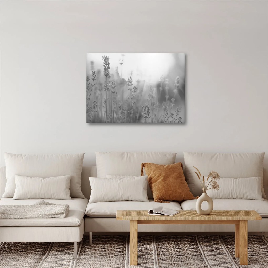 Obraz - Levanduľa (70x50 cm)