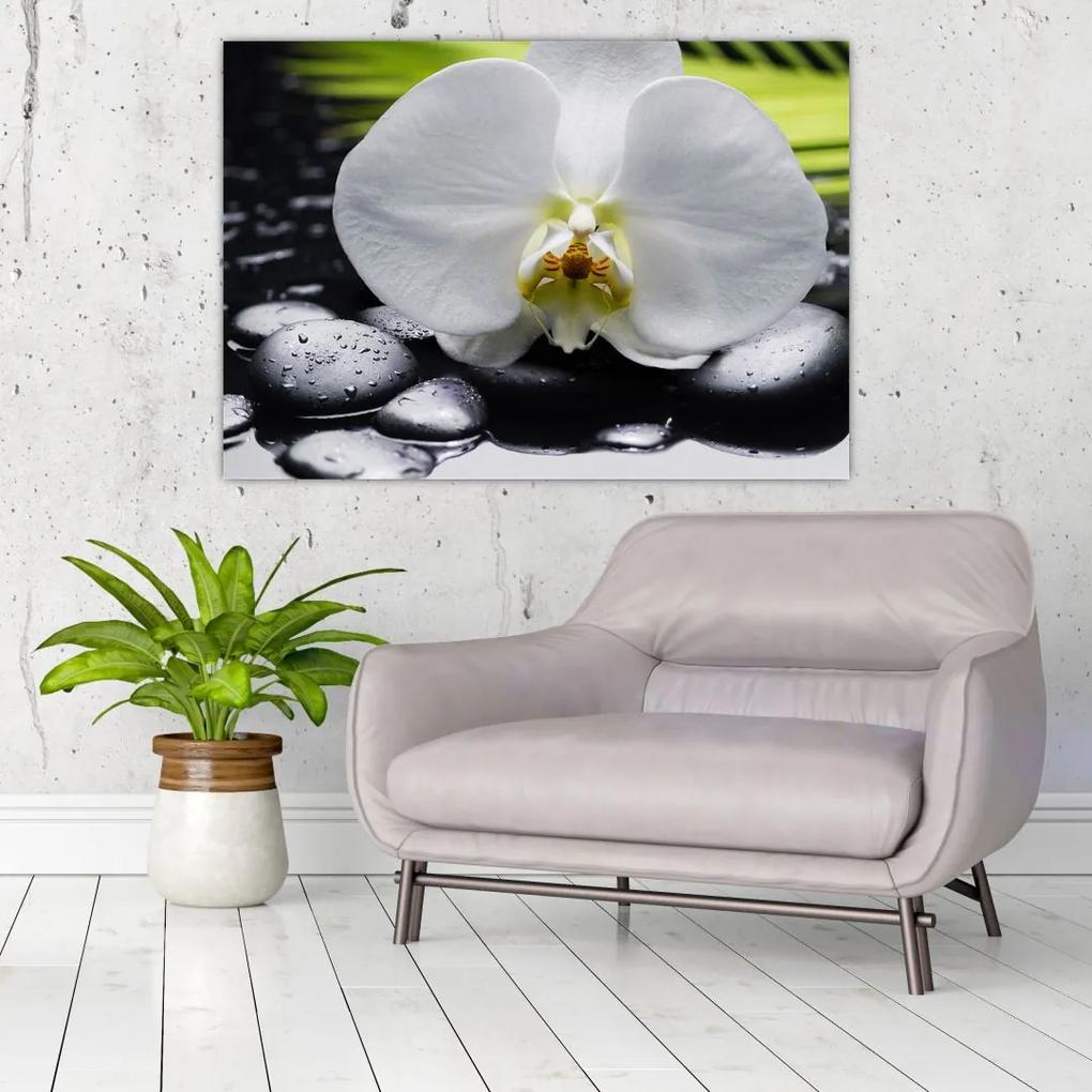 Kvet orchidey - obraz na stenu