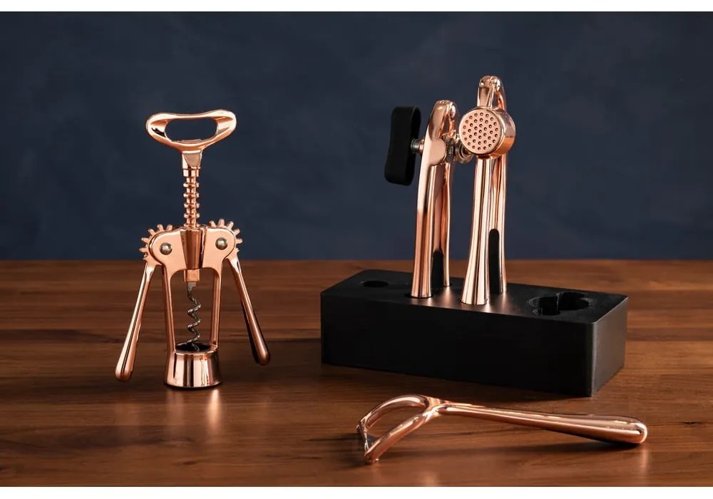Kovová súprava kuchynského náčinia 4 ks Paragon – Premier Housewares