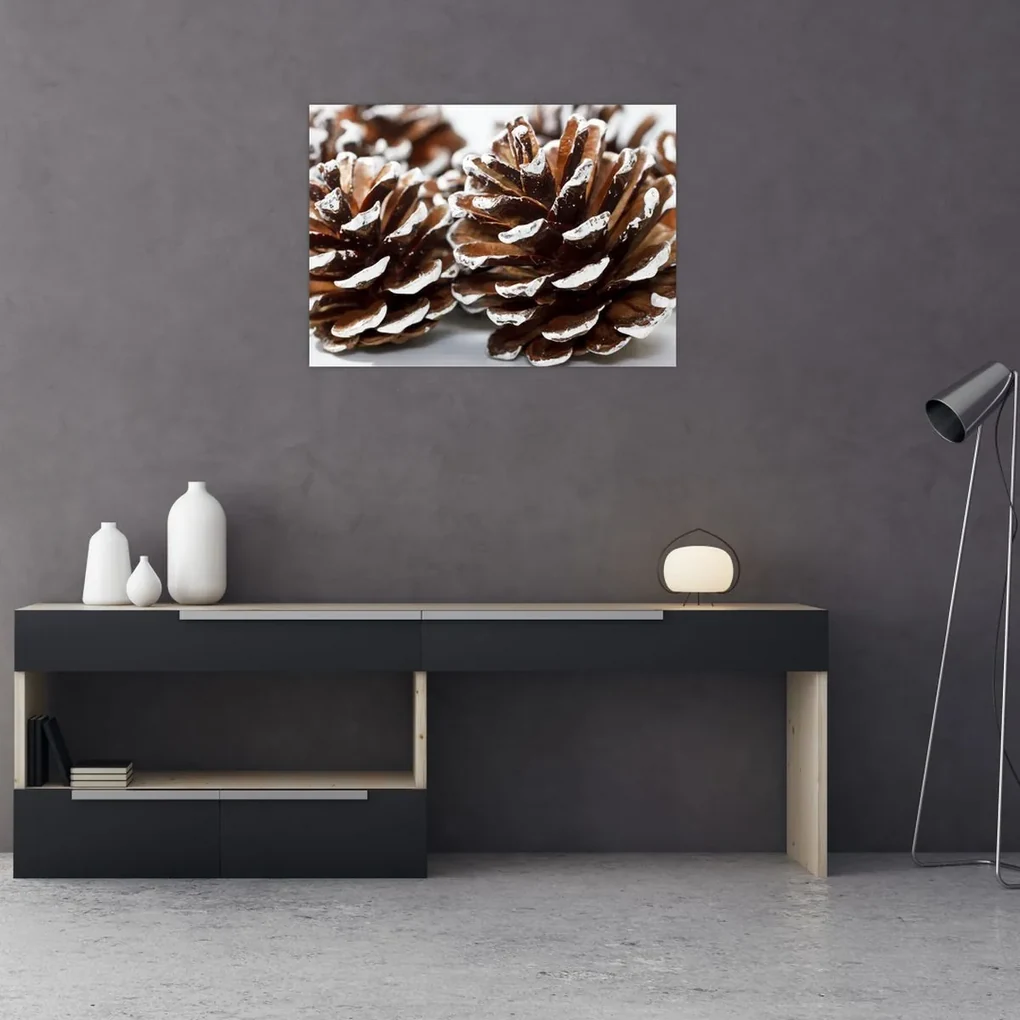 Obraz - Šišky (70x50 cm)