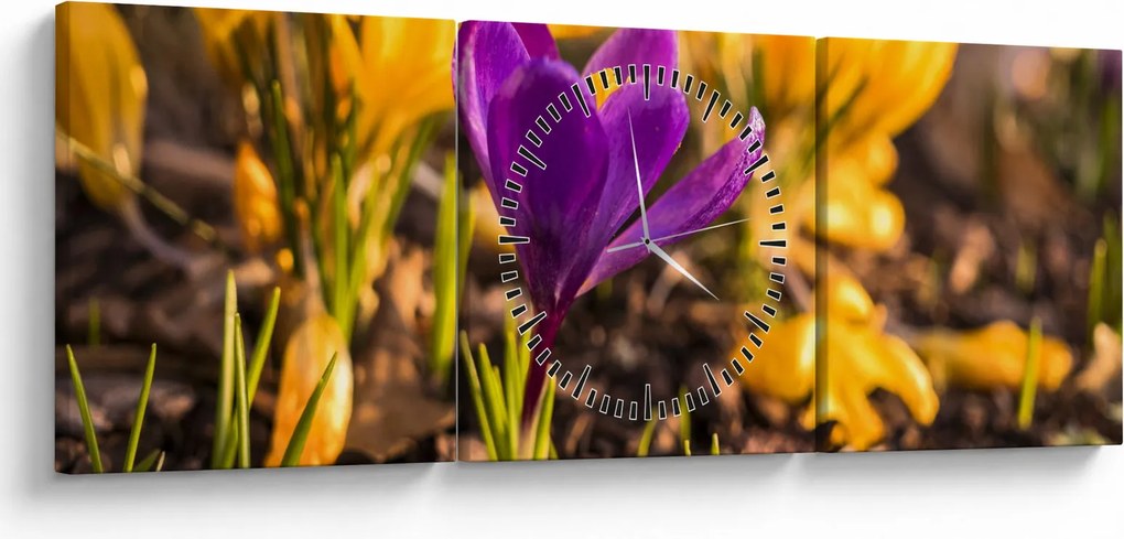 Obraz fialovej kvetiny (s hodinami) (90x30 cm)