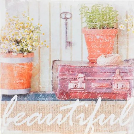 Obraz tlačený na plátne 28x28 PRC908