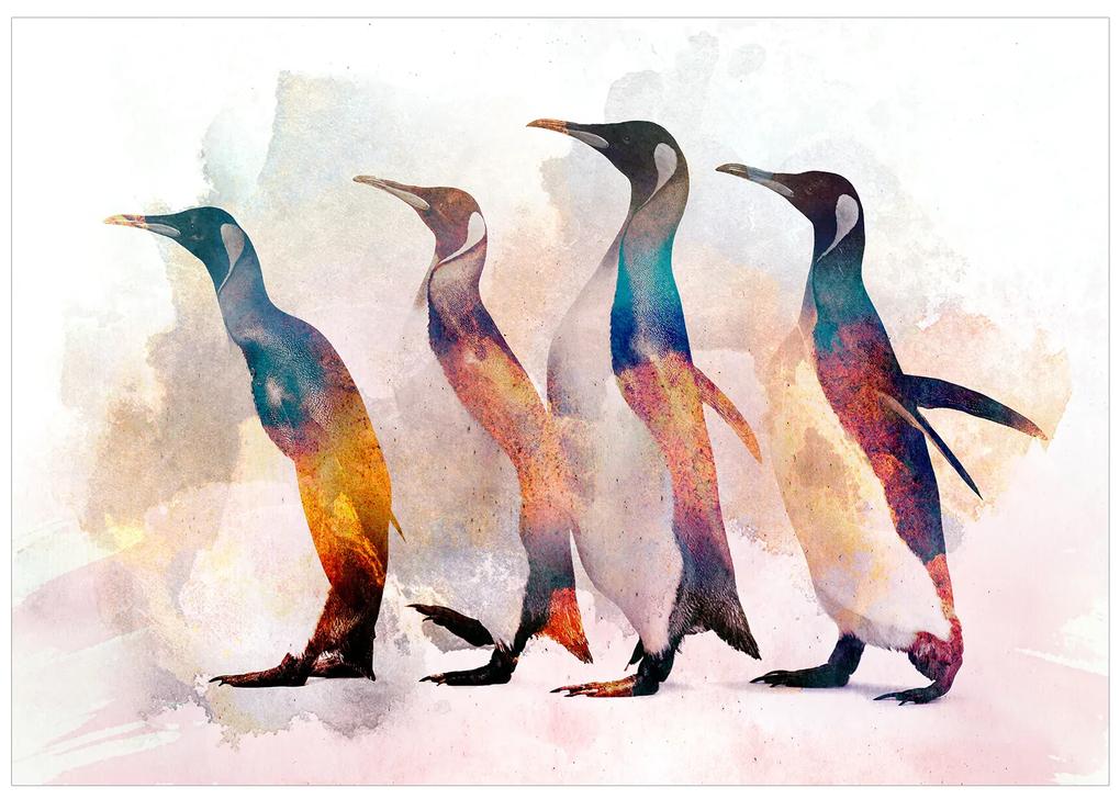 Artgeist Fototapeta - Penguin Wandering Veľkosť: 100x70, Verzia: Standard