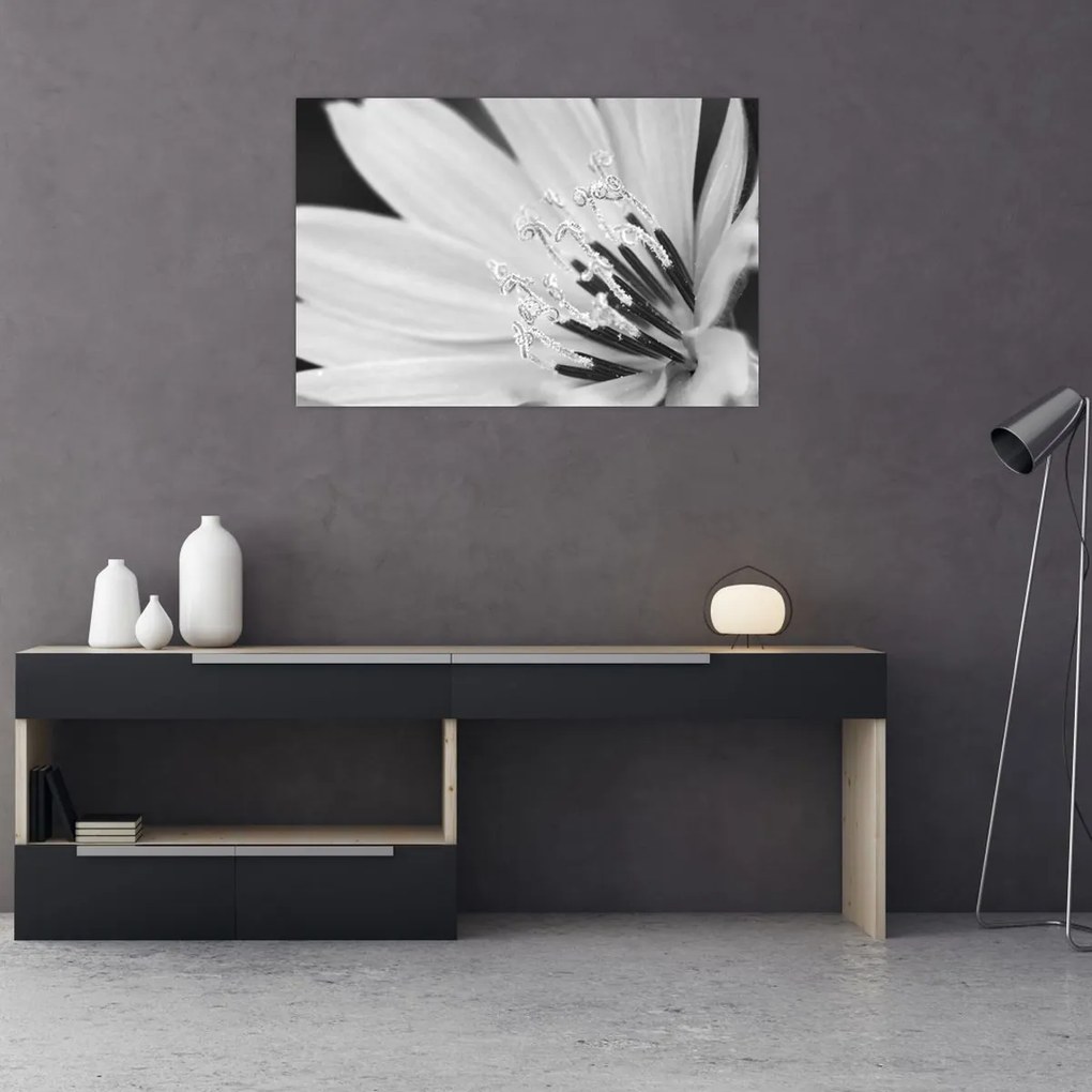 Obraz - Čiernobiely kvet (90x60 cm)