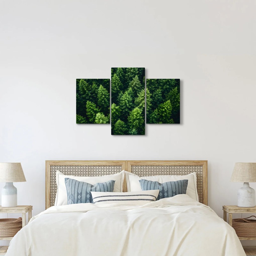 Obraz - Les (90x60 cm)