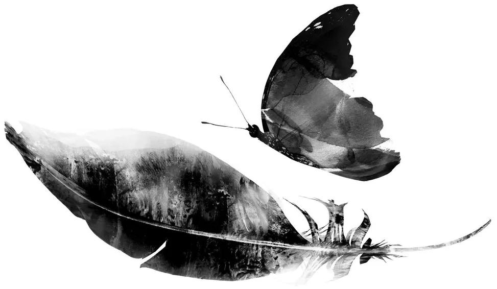 Samolepiaca tapeta čiernobiely motýľ s pierkom