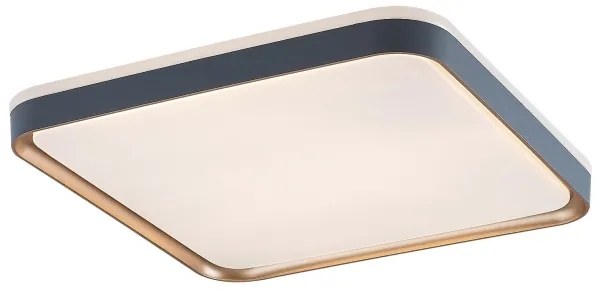 Rabalux 71029 - LED stropné svietidlo LIATRIS LED/26W/230V 3000K