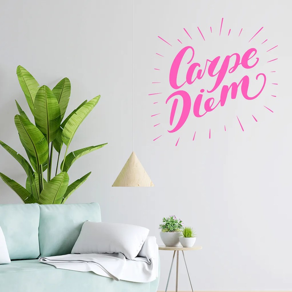 Veselá Stena Samolepka Carpe Diem (Užívaj dňa) Farba: modrá, Veľkosť: 80 x 80 cm