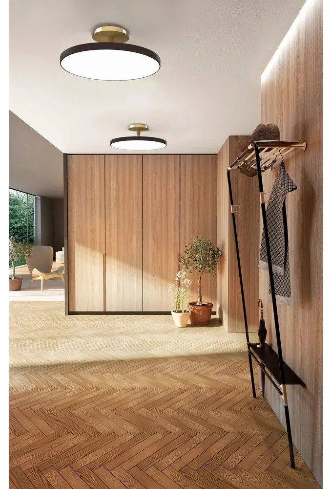 Antracitovosivé LED stropné svietidlo ø 60 cm Asteria Up – UMAGE