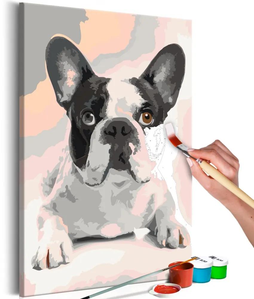 Maľovanie podľa čísiel - French Bulldog 40x60