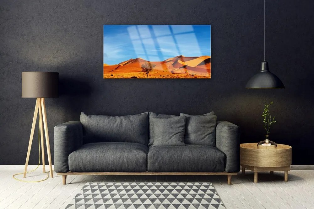 Skleneny obraz Púšť krajina 125x50 cm