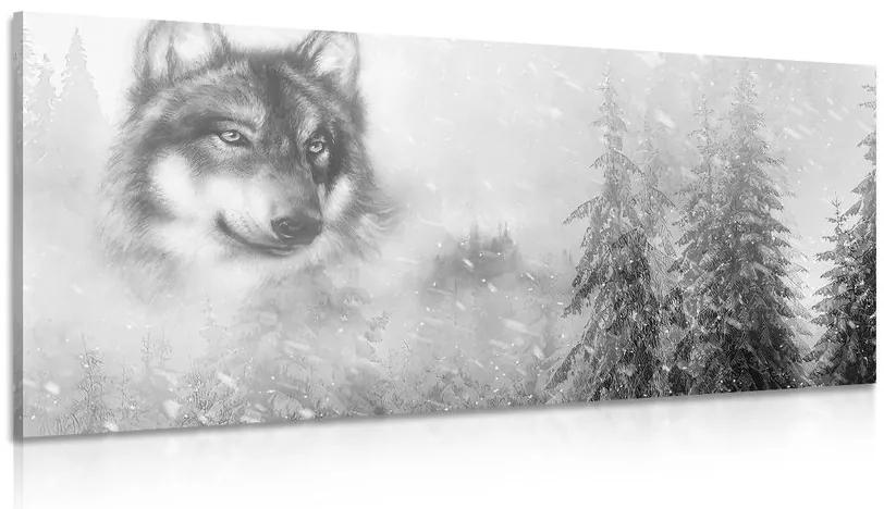 Obraz vlk v zasneženej krajine v čiernobielom prevedení Varianta: 100x50