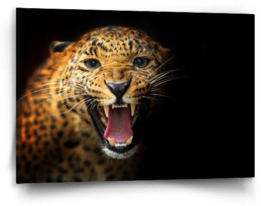 Sablio Obraz Gepard 2 - 90x60 cm