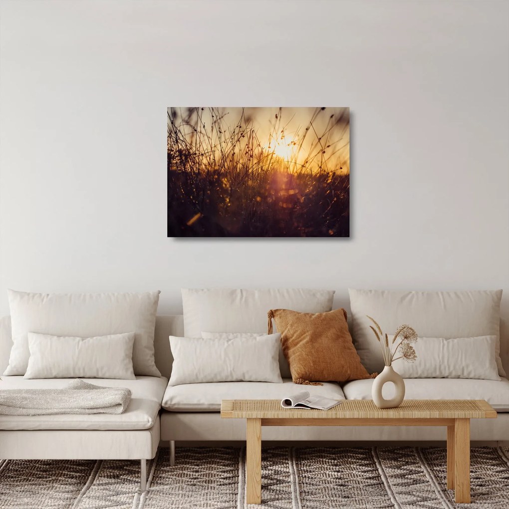 Sklenený obraz poľa pri západe slnka (70x50 cm)