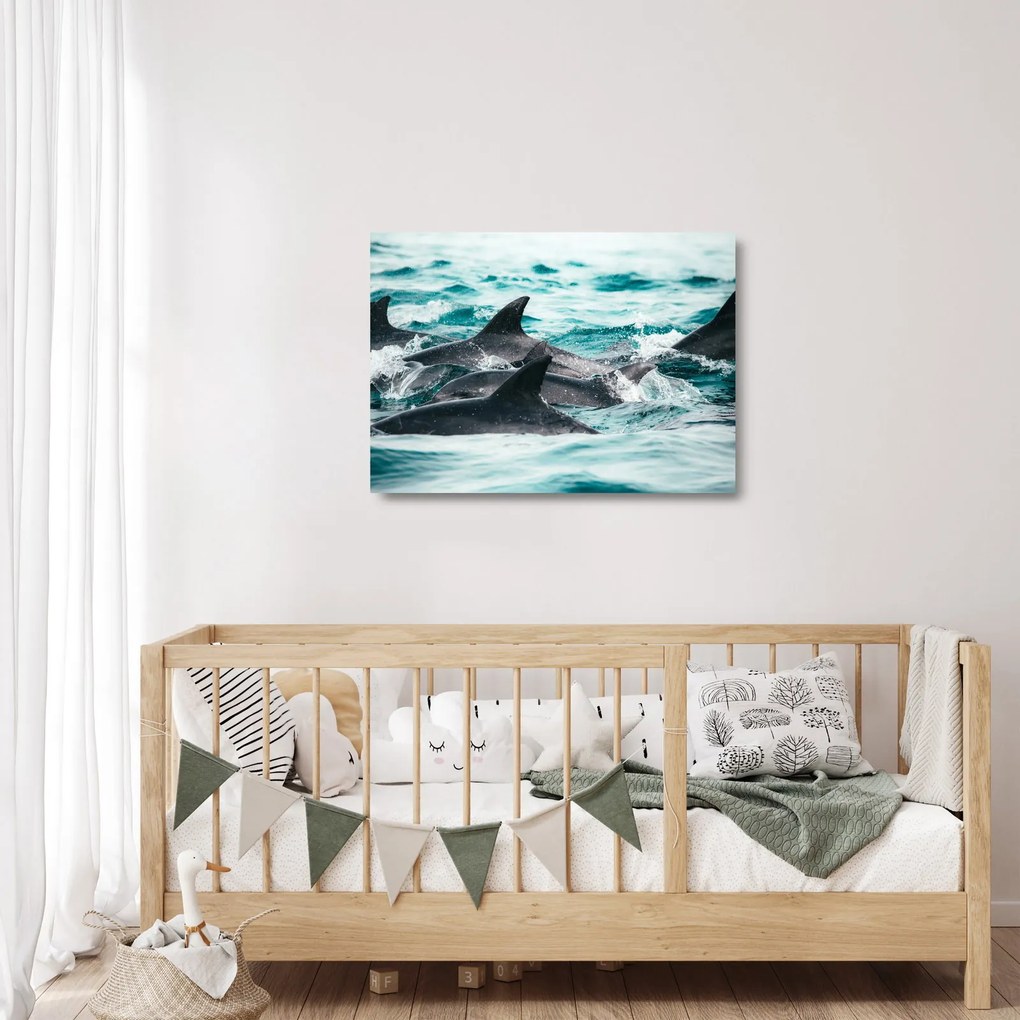 Sklenený obraz - Delfíny v oceáne (70x50 cm)