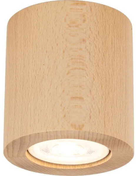 Bodové svietidlo EVE 1xGU10/10W/230V buk