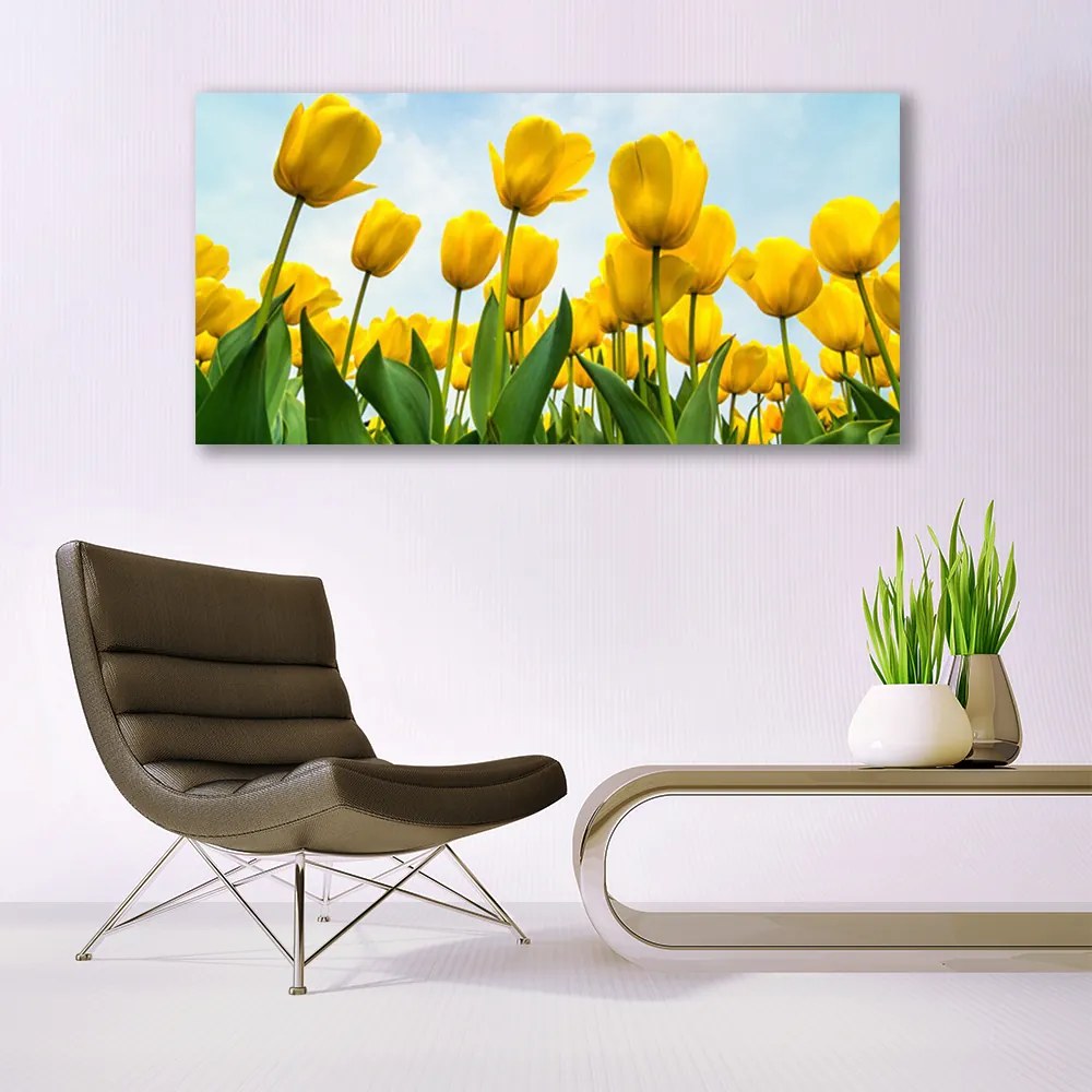 Obraz plexi Tulipány kvety rastlina 120x60 cm