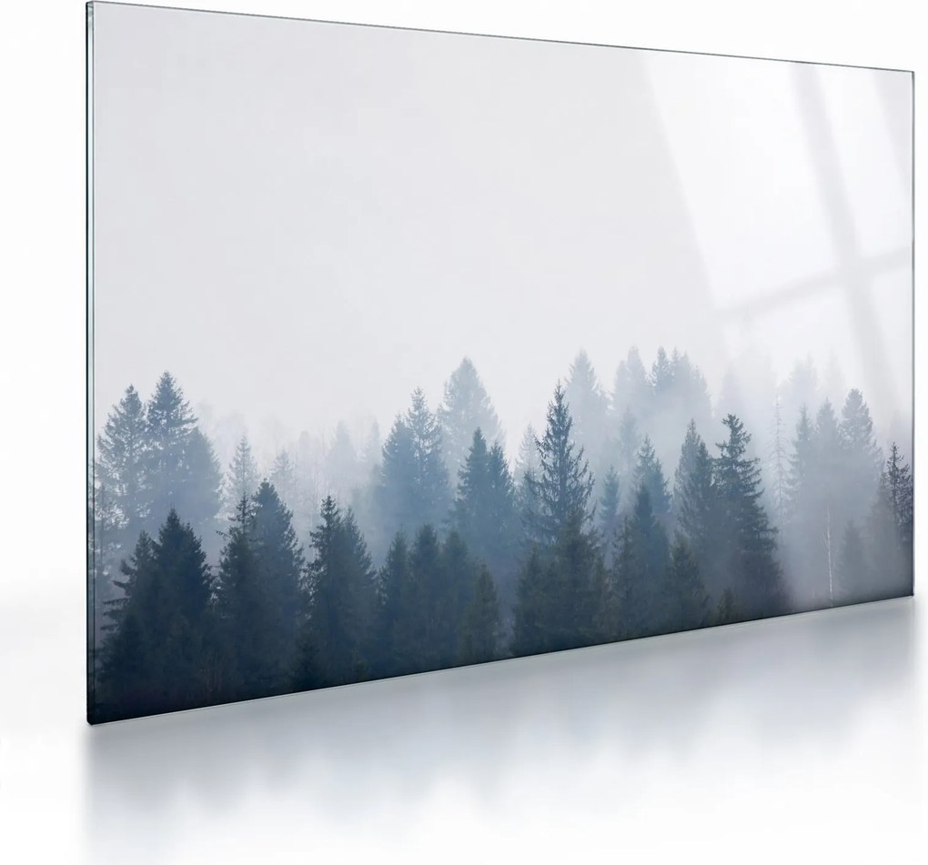 Sklenený obraz - Zahmlený les (70x50 cm)