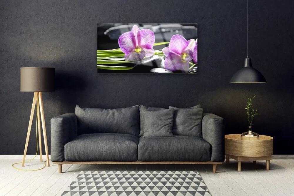 Skleneny obraz Orchidea kamene zen kúpele 120x60 cm
