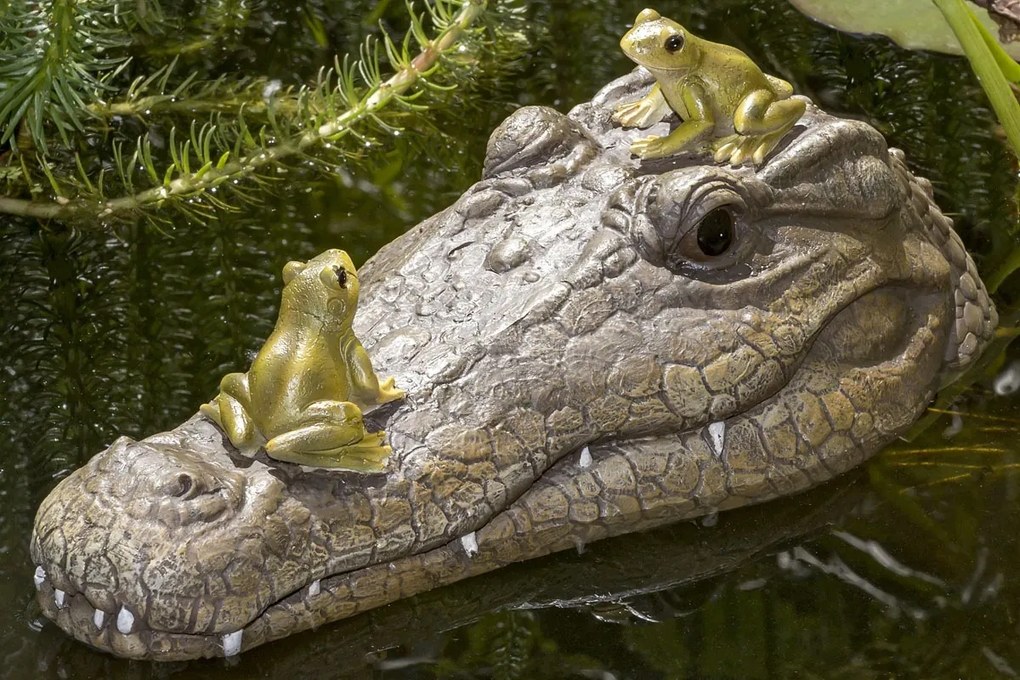 Vodná dekorácia Krokodíl Ally