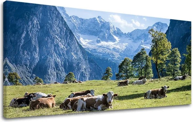 Obraz na stenu PANORÁMA KRAJINA