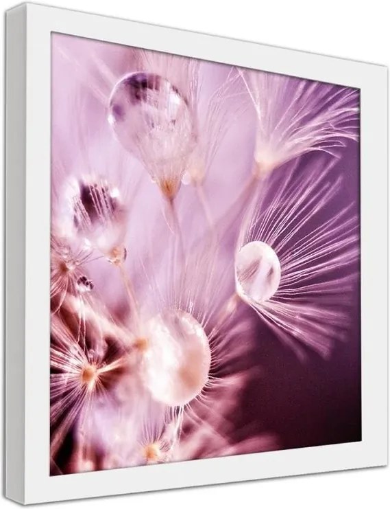 CARO Obraz v ráme - Dandelion Seeds And Drops Of Water Biela 20x20 cm