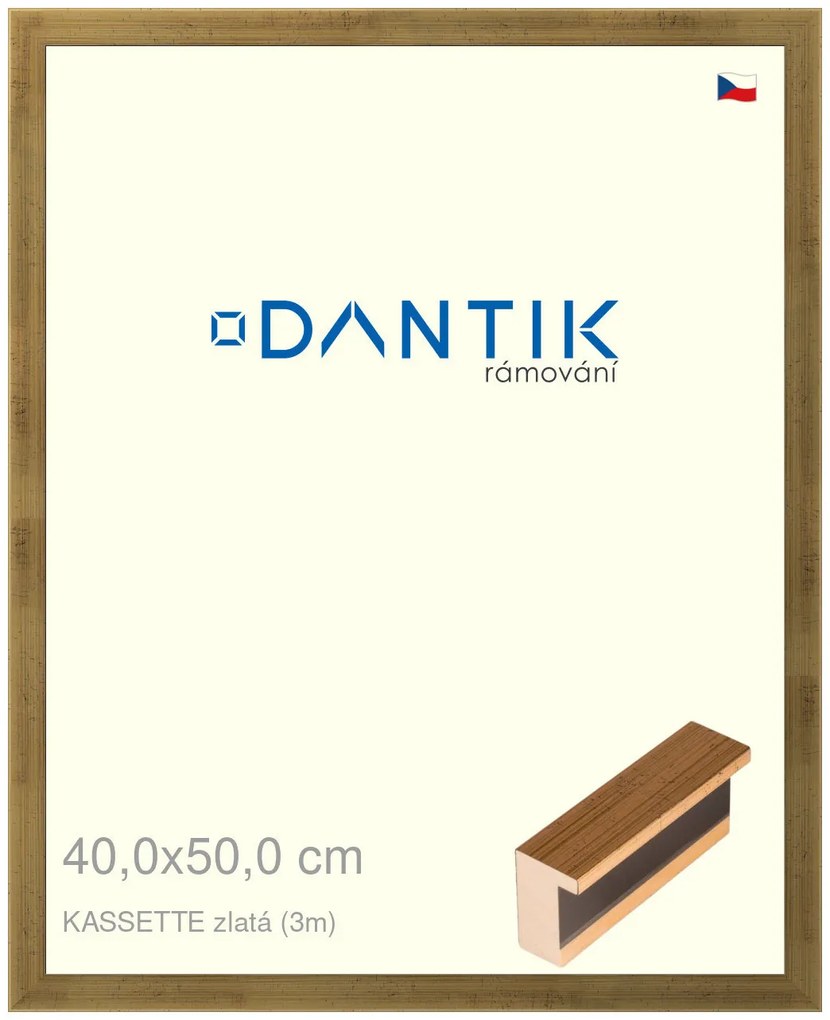 DANTIK rám na obraz 40x50 | KASSETTE zlatá (Sklo Čiré)