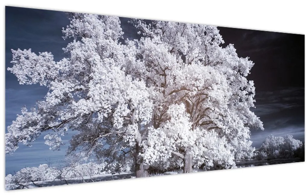 Obraz - Snehobiely strom (120x50 cm)