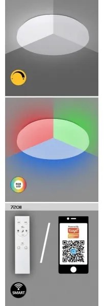 Rabalux 71036 - LED RGB Stmievateľné stropné svietidlo CERRIGEN LED/48W/230V