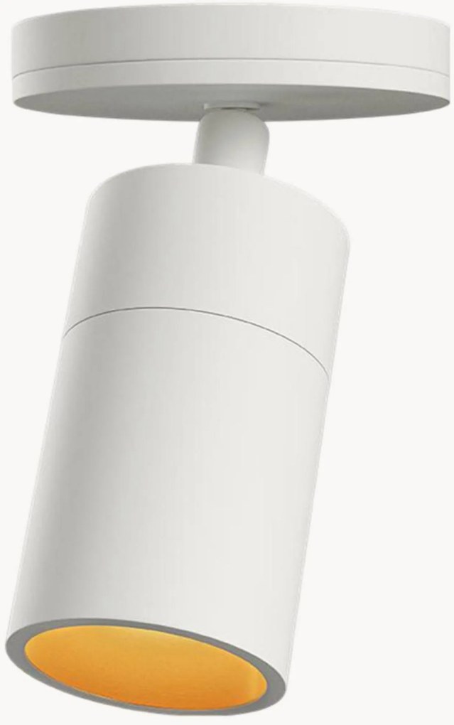 Nastaviteľné stropné svietidlo Expo