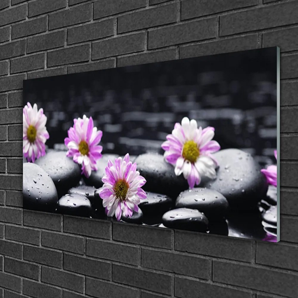 Skleneny obraz Kvet kamene rastlina 100x50 cm