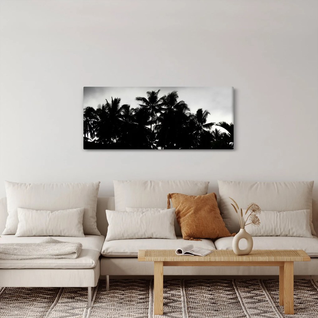 Obraz čiernobiely - palmy (120x50 cm)