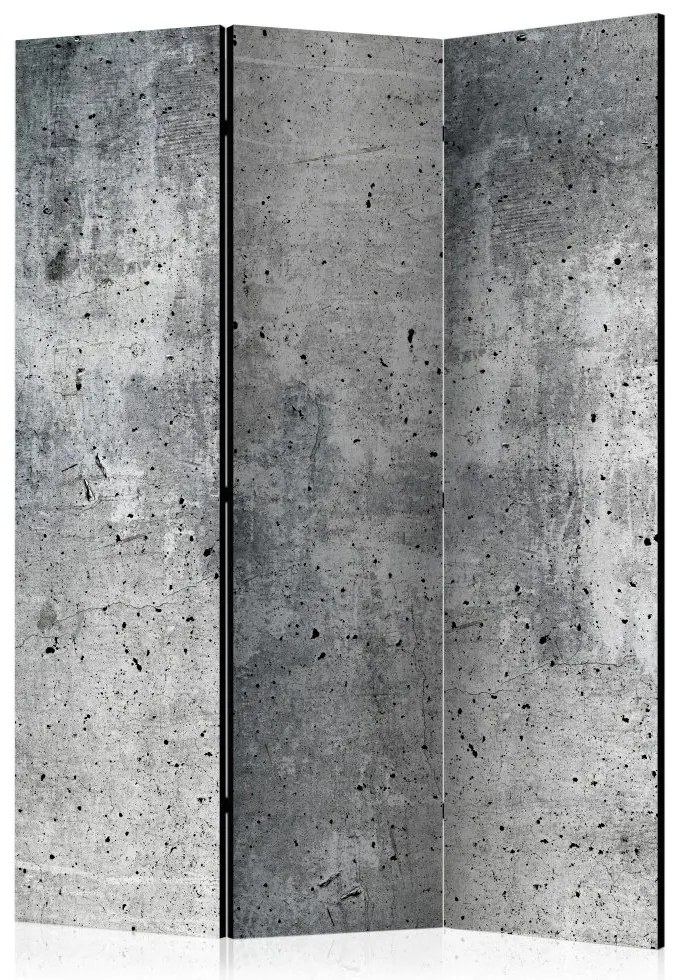 Artgeist Paraván - Fresh Concrete [Room Dividers]