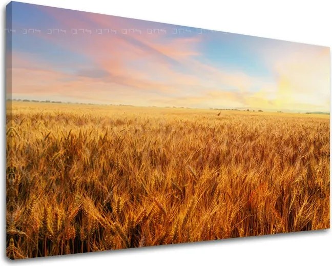 Obraz na stenu KRAJINA