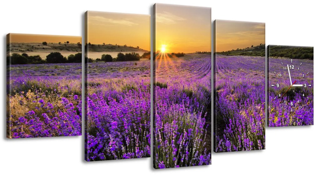 Gario Obraz s hodinami Levanduľové pole - 5 dielny Rozmery: 150 x 70 cm