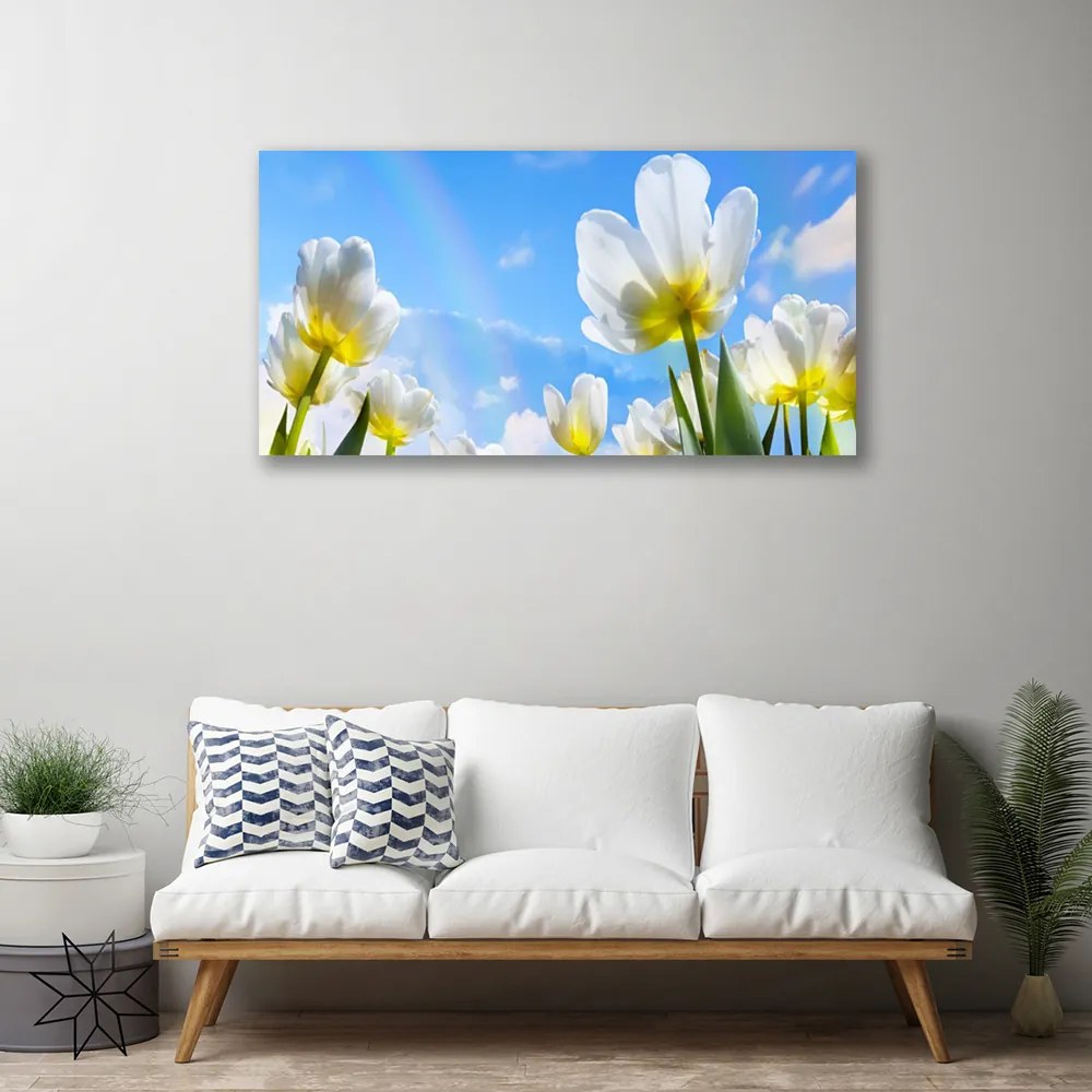 Obraz Canvas Rastliny kvety tulipány 100x50 cm