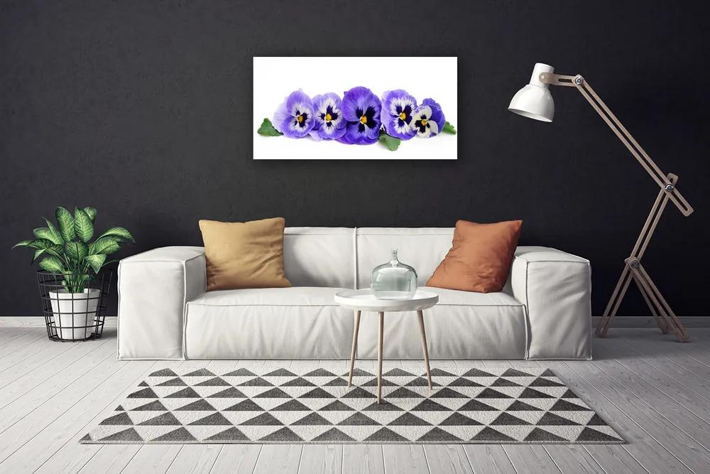 Obraz Canvas Plátky kvet sirôtky 140x70 cm