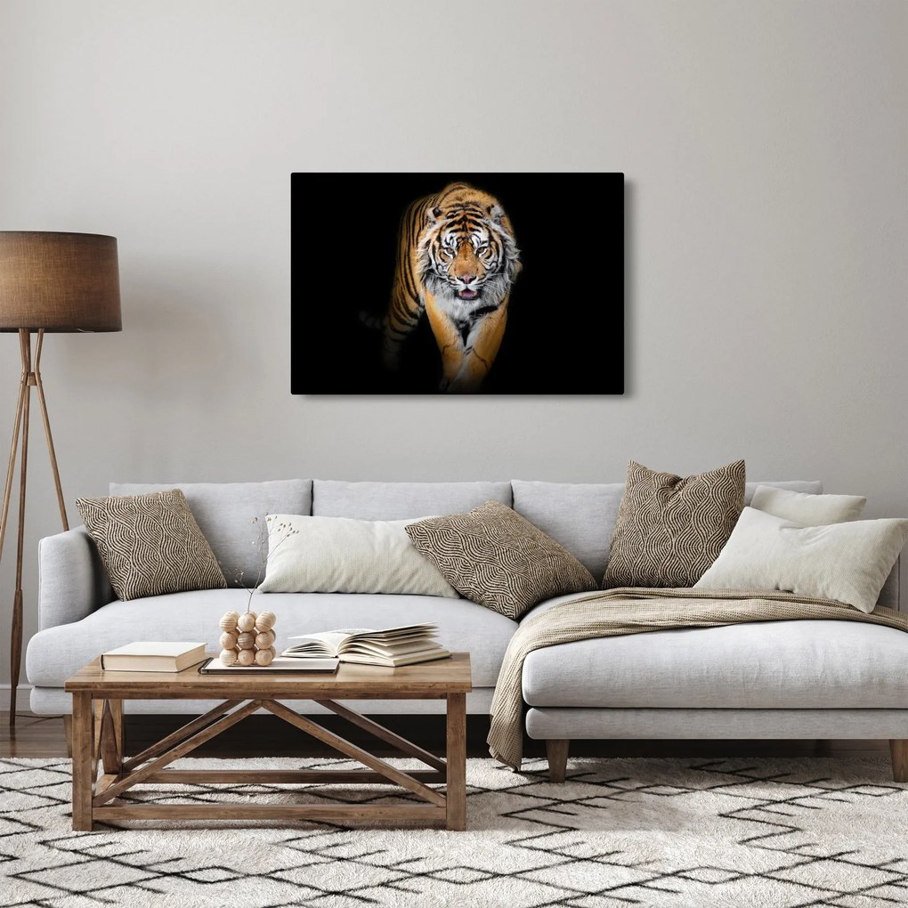 Obraz - Tiger (90x60 cm)