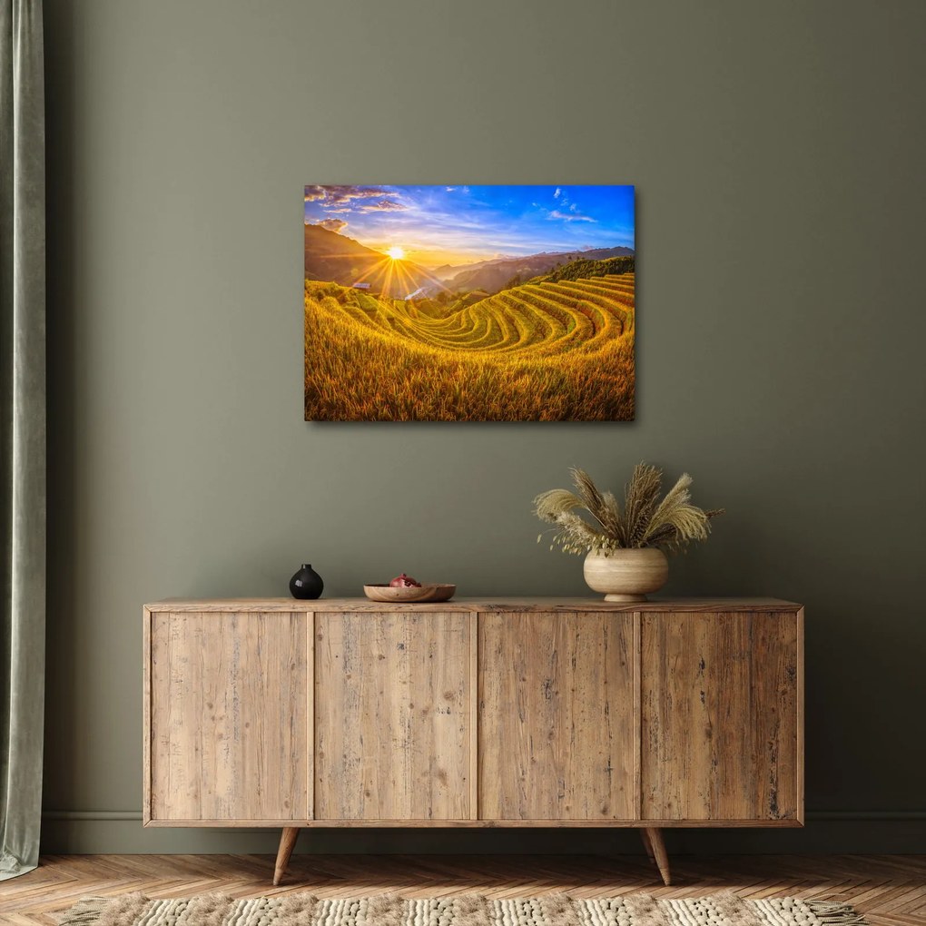 Obraz - Ryžové terasy vo Vietname (70x50 cm)