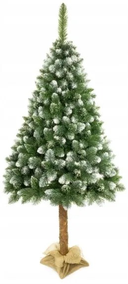 Vianočný stromček na kmeni 220 cm borovica