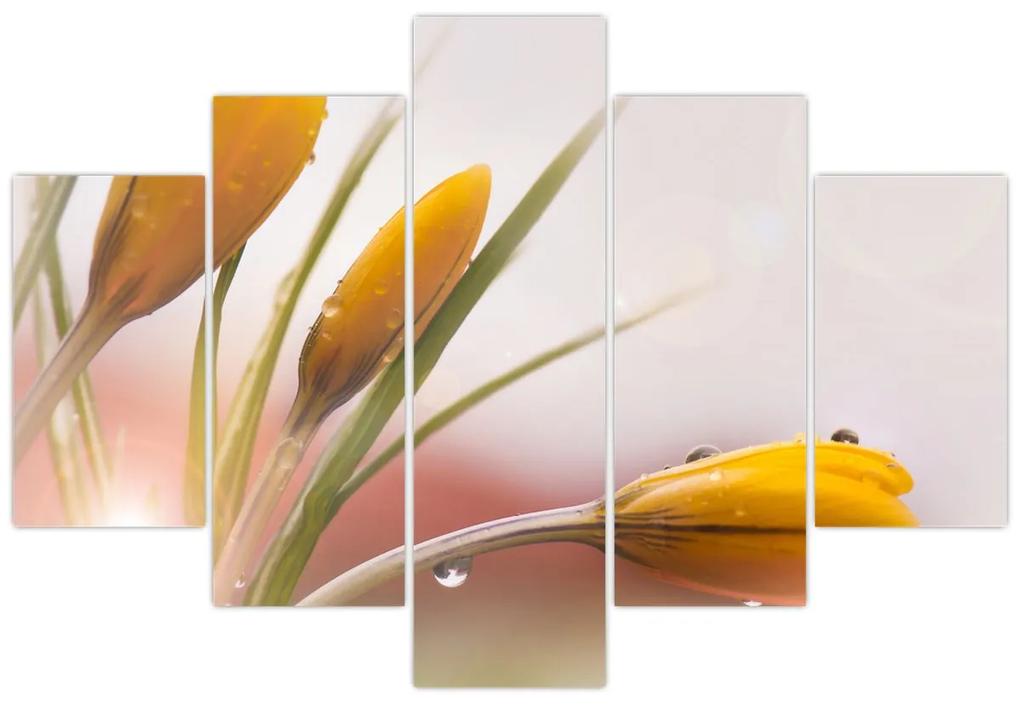 Obraz - Jarné kvety (150x105 cm)