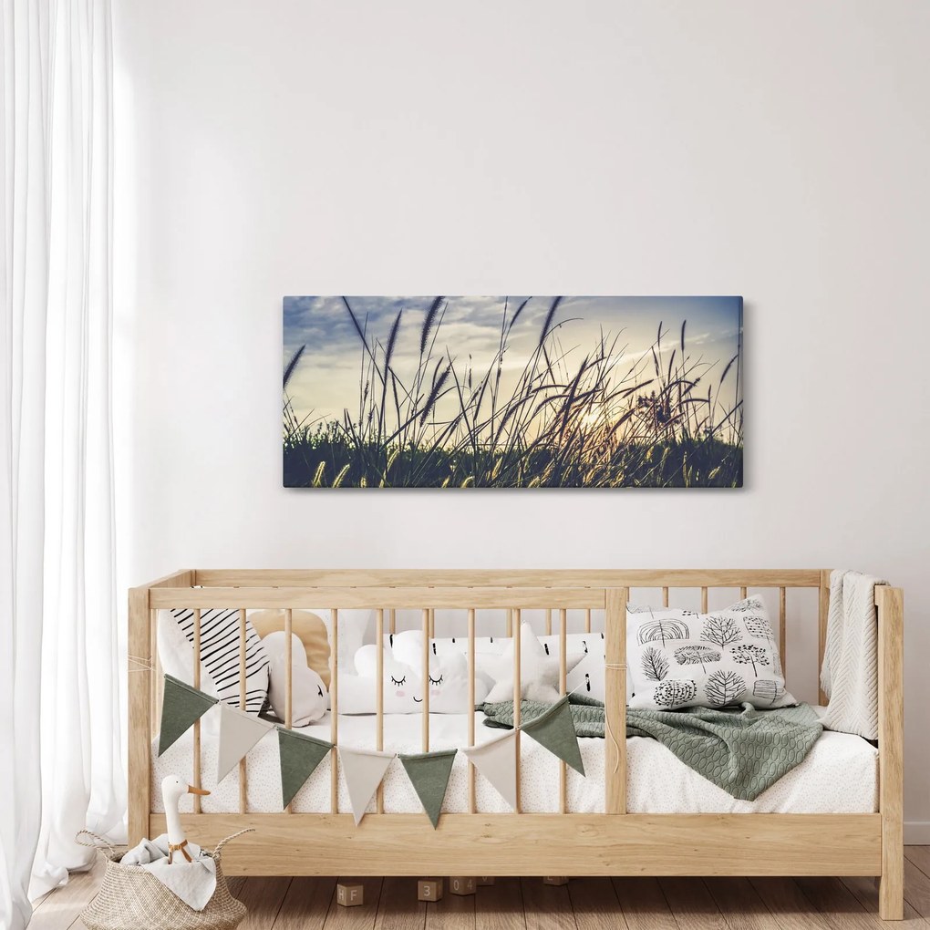 Obraz lúčnych kvetov (120x50 cm)
