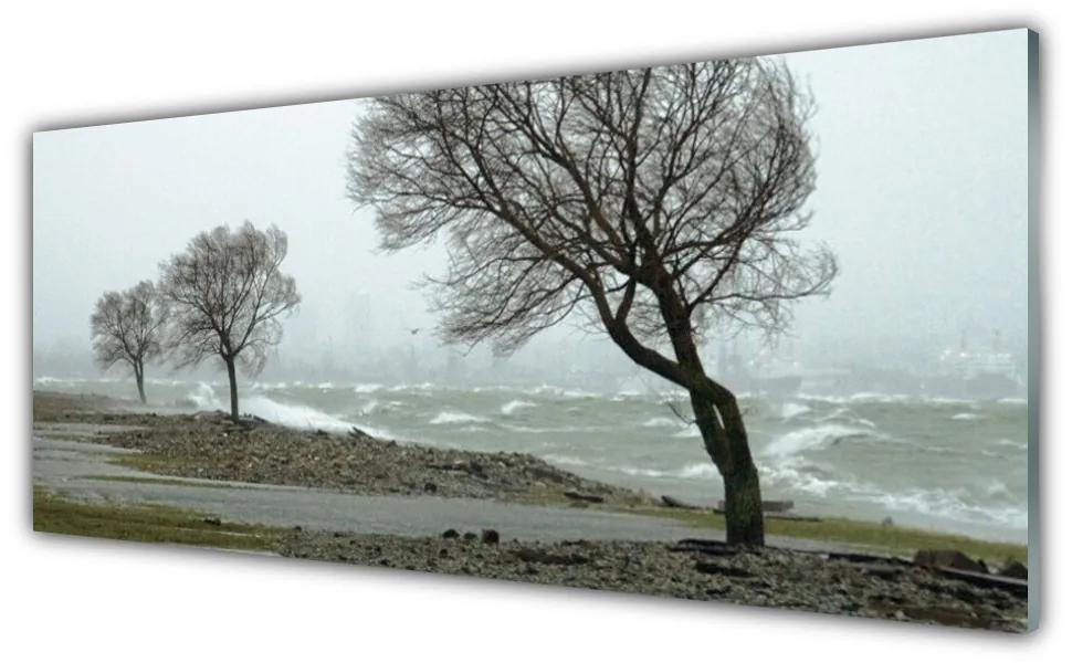 Obraz plexi More búrka vlny 125x50 cm