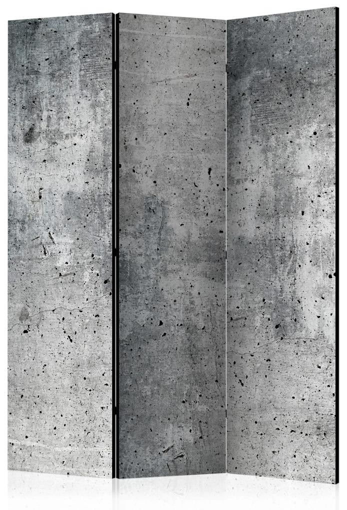 Artgeist Paraván - Fresh Concrete [Room Dividers]